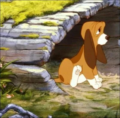 Une amiti impossible ...