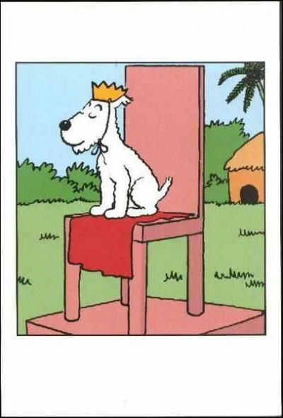 Accompagne son reporter de maitre sur la lune comme au Tibet ...