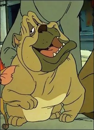 On le rencontre en Compagnie d'un chaton ... .