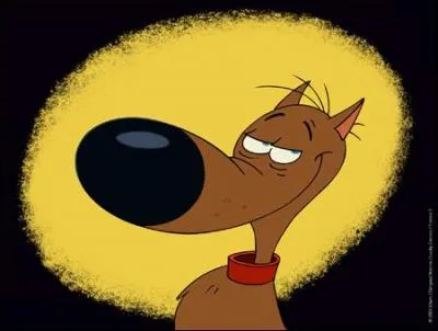 Le chien le plus bte de l'ouest ...