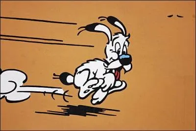 Le 1er chien colo ... .