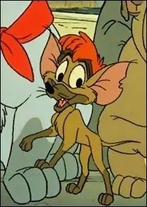 On le rencontre en Compagnie d'un chaton ...