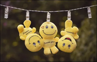 Dans la langue française, quel est le synonyme du mot "bug" signifiant un dysfonctionnement d'un programme informatique ?