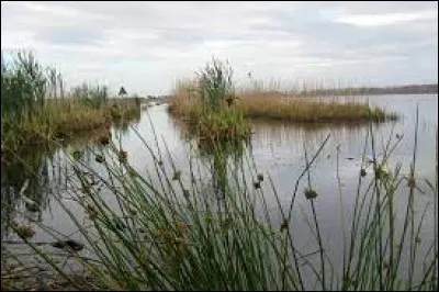 Dans quel pays est situé le village de Bugewitz, dans la région de Mecklembourg ?