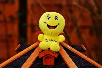 Le Bugue est un petit village situé sur les rives de la Vézère, pas très loin de Périgueux. Dans quel département ?