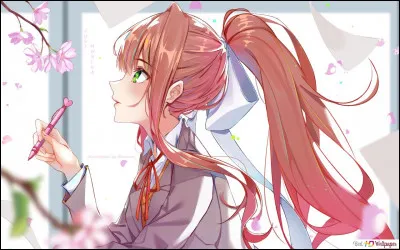 Quel est son défaut ?