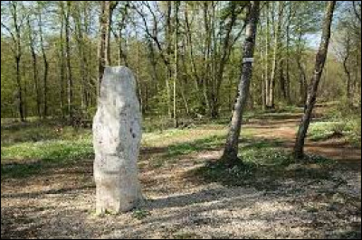 La Pierre au Jô, pas loin de Pont-à-Mousson, est un des seuls menhirs du département ...