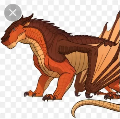 Quel "Aile" est-ce ?