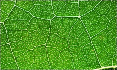 Quelle est cette couleur ?