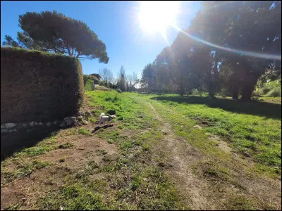 L'expression signifiant "être un bon jardinier" est : avoir la main...