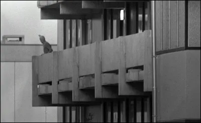 Le 5 septembre, les jeux olympiques de Munich sont le théâtre d'une prise d'otages au bilan tragique : quelle est organisation terroriste à l'origine de cette prise d'otages ?