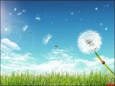 Combien de membres composent le groupe de french touch Air, connu pour leur single "Sexy Boy" ?