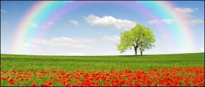 Langue française : Quel est le pluriel du mot arc-en-ciel ?