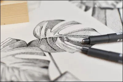 Niveau dessin, es-tu fort(e) ?