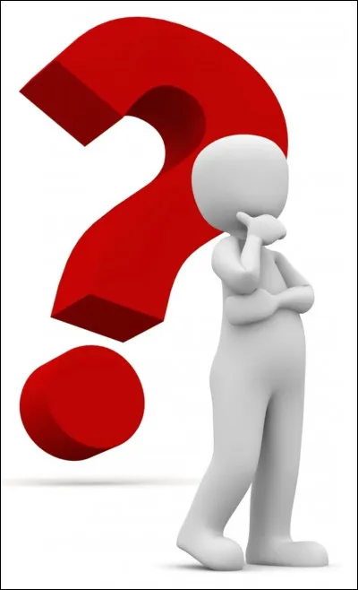 Quelle est ta plus grande qualité ?