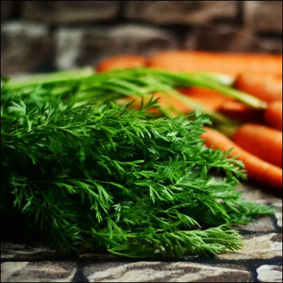 N'est jamais tiède, c'est le...