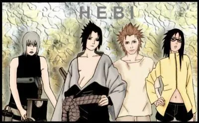 Comment s'appellent les nouveaux ninjas qui suivent Sasuke ?