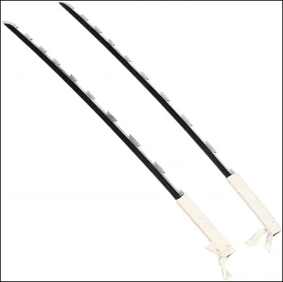 À qui appartient ce sabre ?