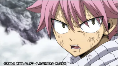 Quel est l'âge de Natsu ?