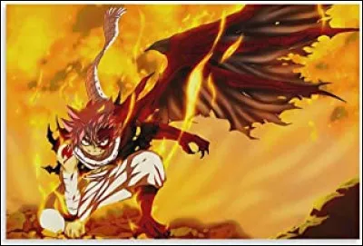 Que signifie E.N.D. ? (C'est le nom de Natsu en démon.)