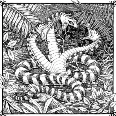 À quoi lui sert la tête du milieu ?