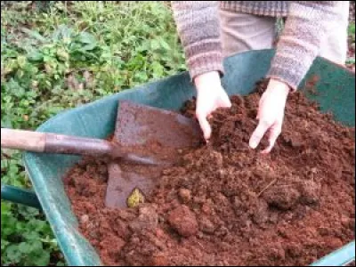 Aimez-vous jardinez ?