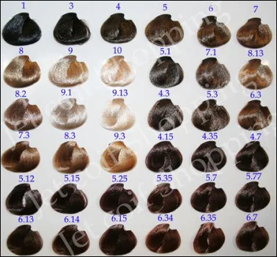 Comment vous situez-vous niveau coloration capillaire ?