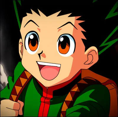 Qui est ce personnage de "Hunter × Hunter" ?