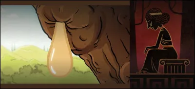 Et c'est un Pan de l'histoire qui s'exprime : « Certaines légendes sont désespérément tragiques, telle celle de Myrrha, princesse chypriote mise enceinte par son père et abandonnée. Cela donne ... »