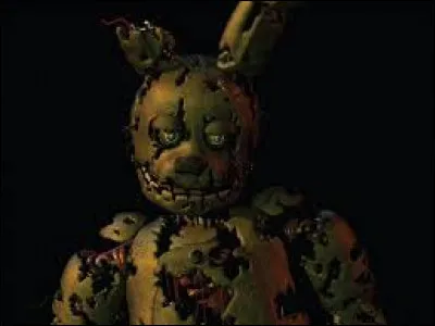 Dans ''FNaF 3'', comment s'appelle cette animatronique ?