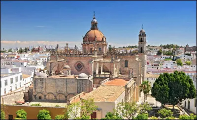 Quelle est cette ville espagnole d'Andalousie dans la Province de Cadix, célèbre pour la culture de la vigne et l'élevage équin ?