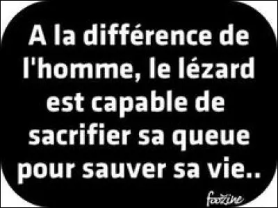 Dommage pour nous de pas avoir cette qualité, hein !
J'ai vu ça sur...