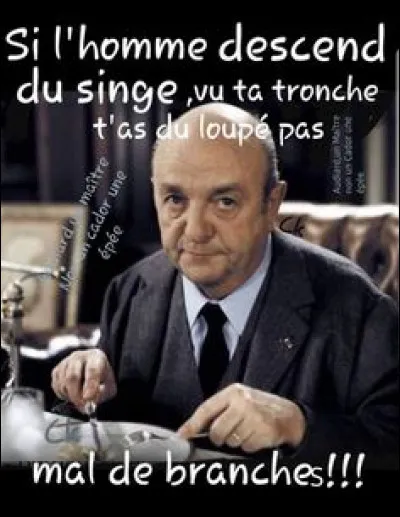 Regardez l'image et dites-moi de qui il s'agit.