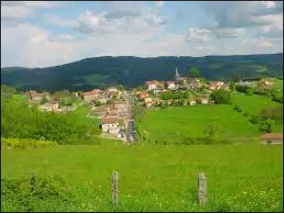 Nous sommes en Auvergne-Rh&ocirc;ne-Alpes, &agrave; Thel. Village en plein c�ur du Beaujolais vert, il se situe dans le d&eacute;partement ...