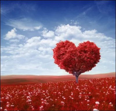 De qui est-il amoureux ?