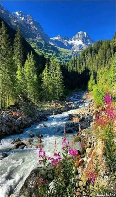 Qui a défini le concept du repos absolu ?