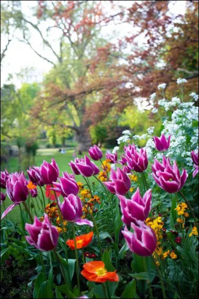 Lequel de ces hommes s'y est opposé ?