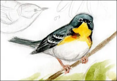 En médecine, comment appelle-t-on un abcès des gencives ?