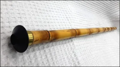 Qui était le Brave des braves ?