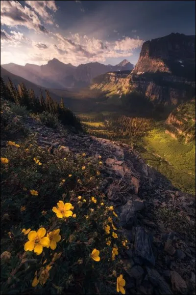 De quel pays vient Laura Montoya ?