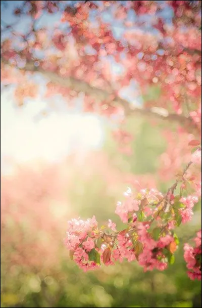 Qui a écrit "Laura, voyage dans le cristal" ?