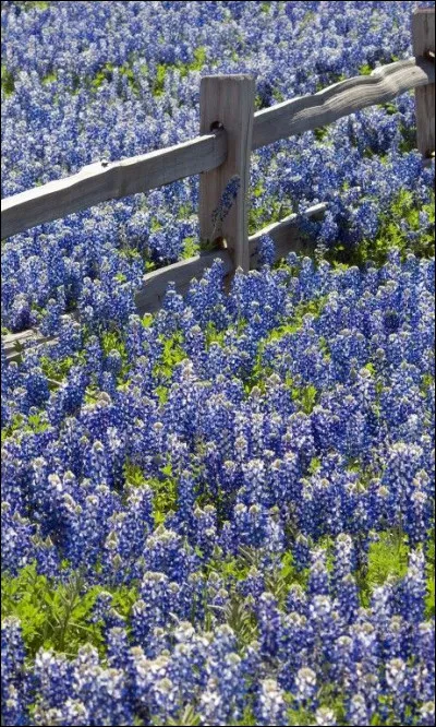 Dans quelle galaxie se retrouve le Soleil ?