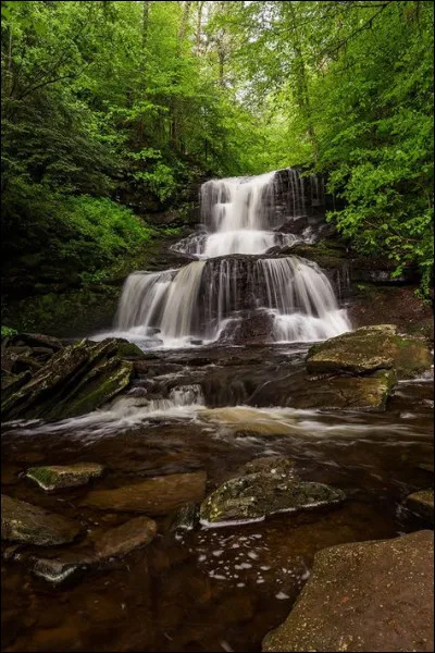Quelle fleur surnomme-t-on "soleil" ?