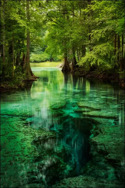 Par quel président américain le programme Constellation a-t-il été annulé ?