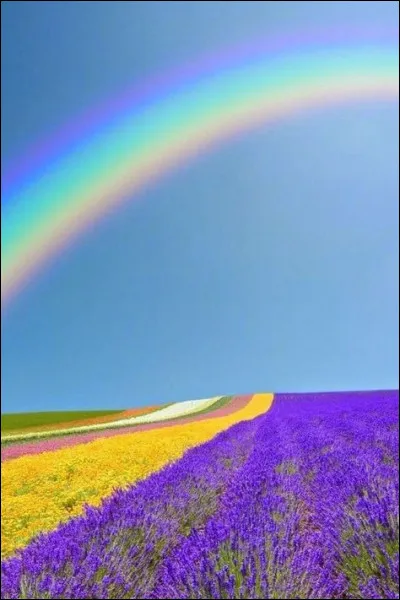 Quand la Lune se serait-elle formée ?