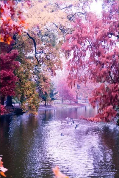 De combien de cm s'éloigne la Lune de la Terre chaque année ?