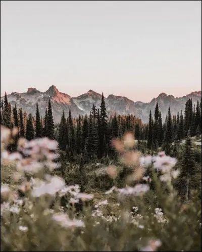 Qui a observé les cratères lunaires pour la première fois ?