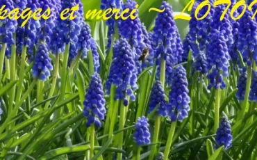 Quiz Symboles
