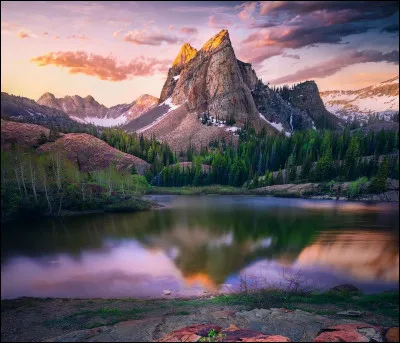 Tu préfères être...