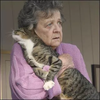 Qui est ce personnage de Desperate Housewives ?